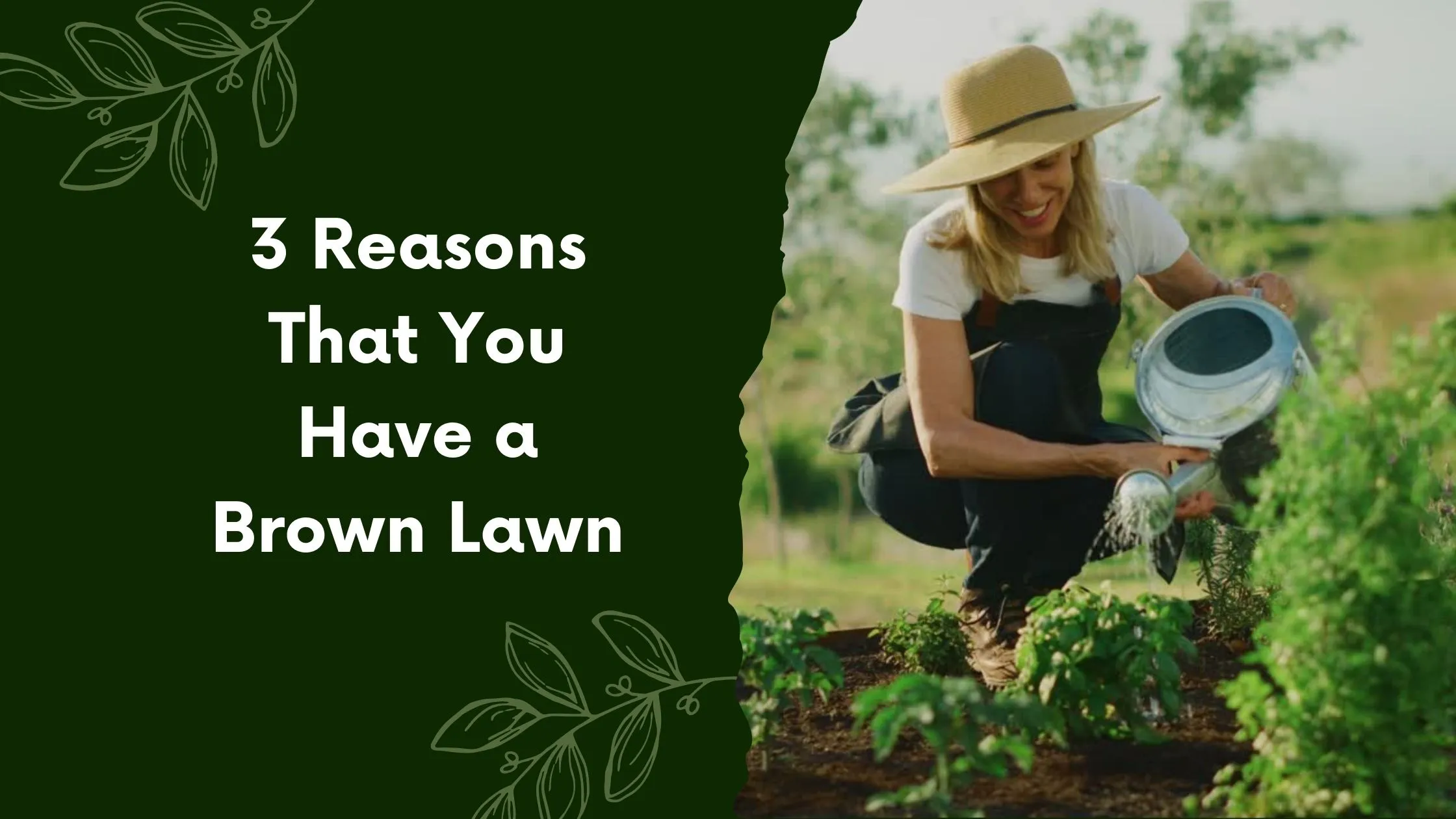 3 Reasons That You Have a Brown Lawn