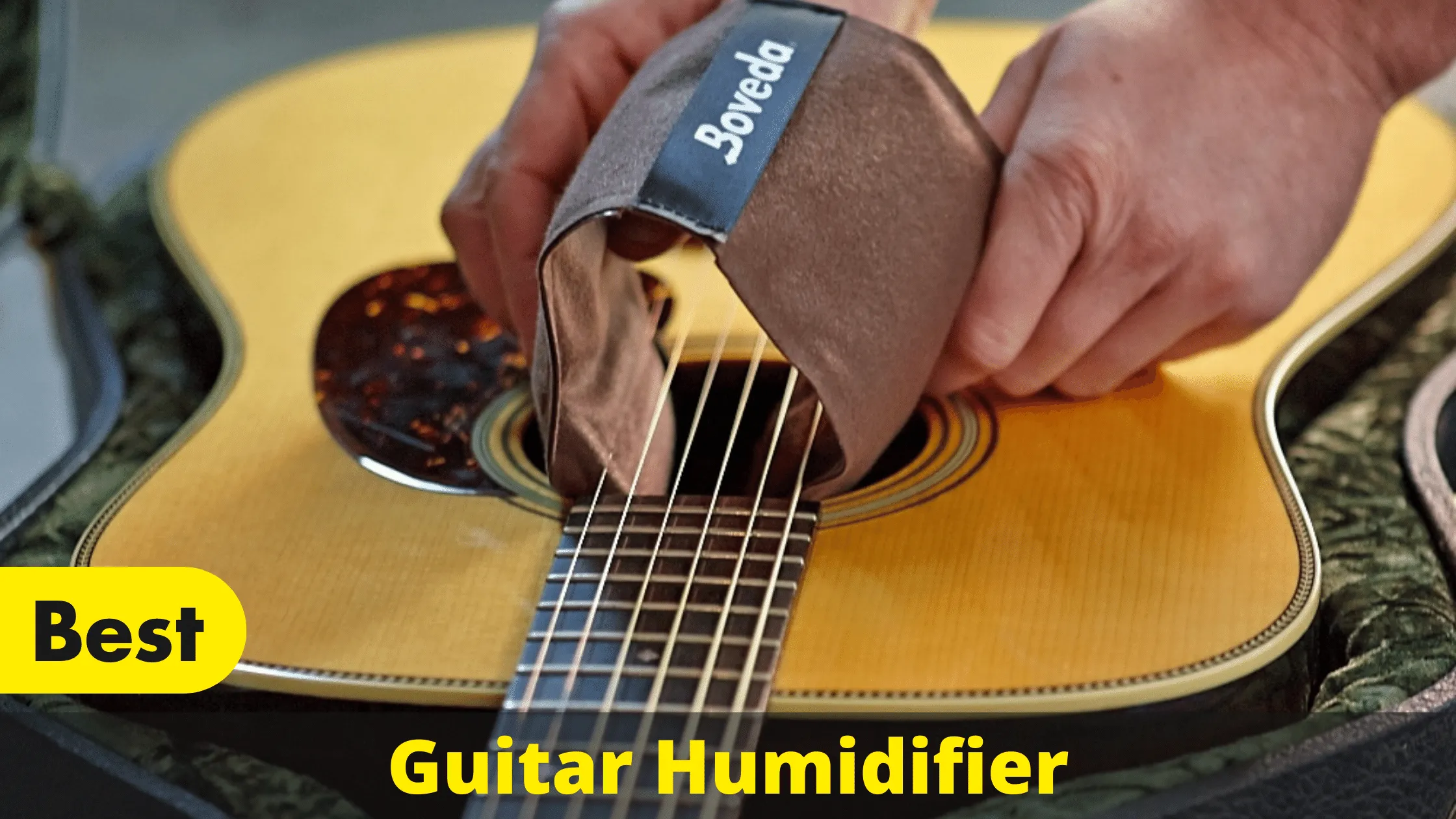 Top 10 Best Guitar Humidifier - Latest Guide