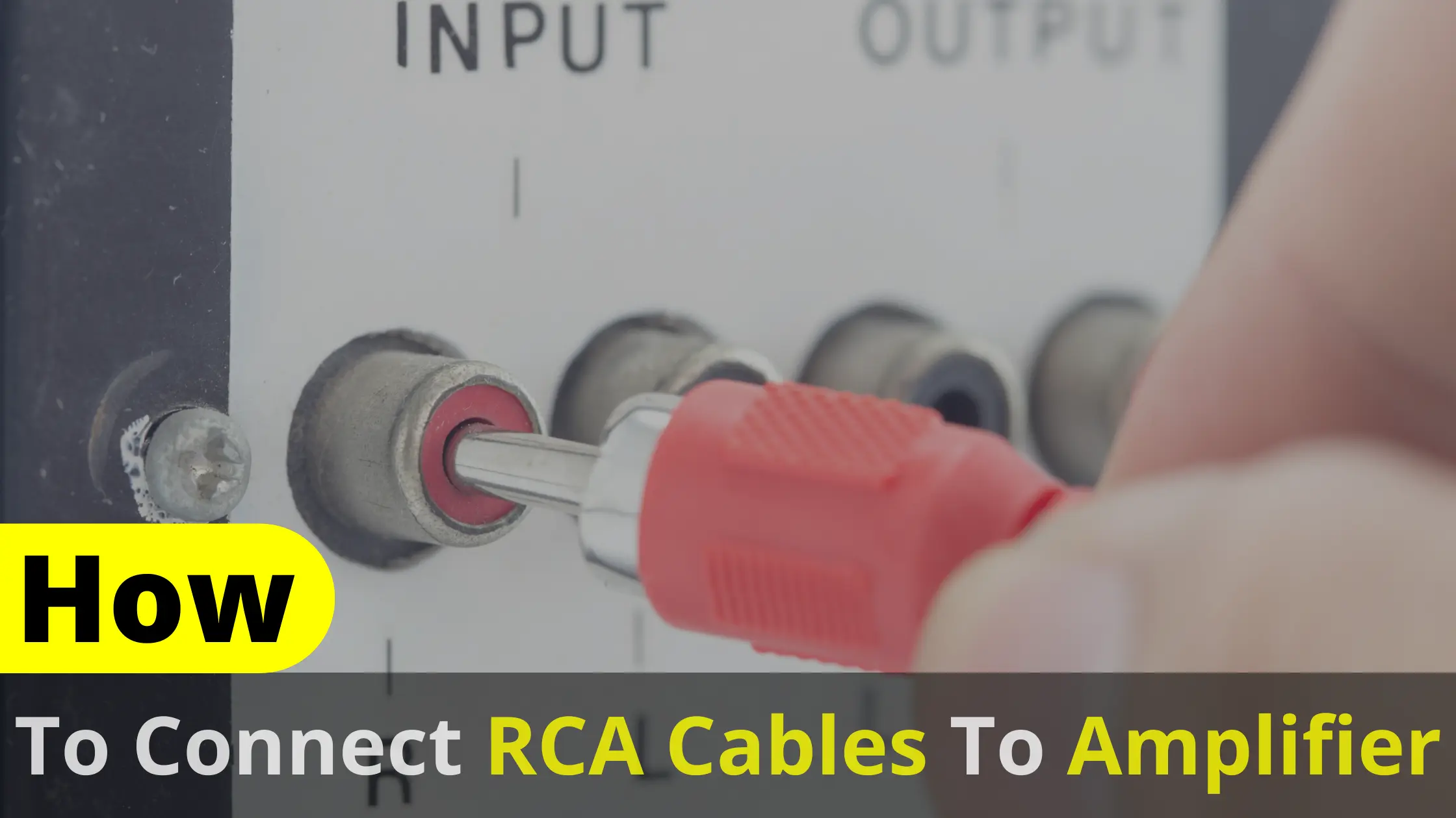 How To Connect RCA Cables To Amplifier? Latest Guide 