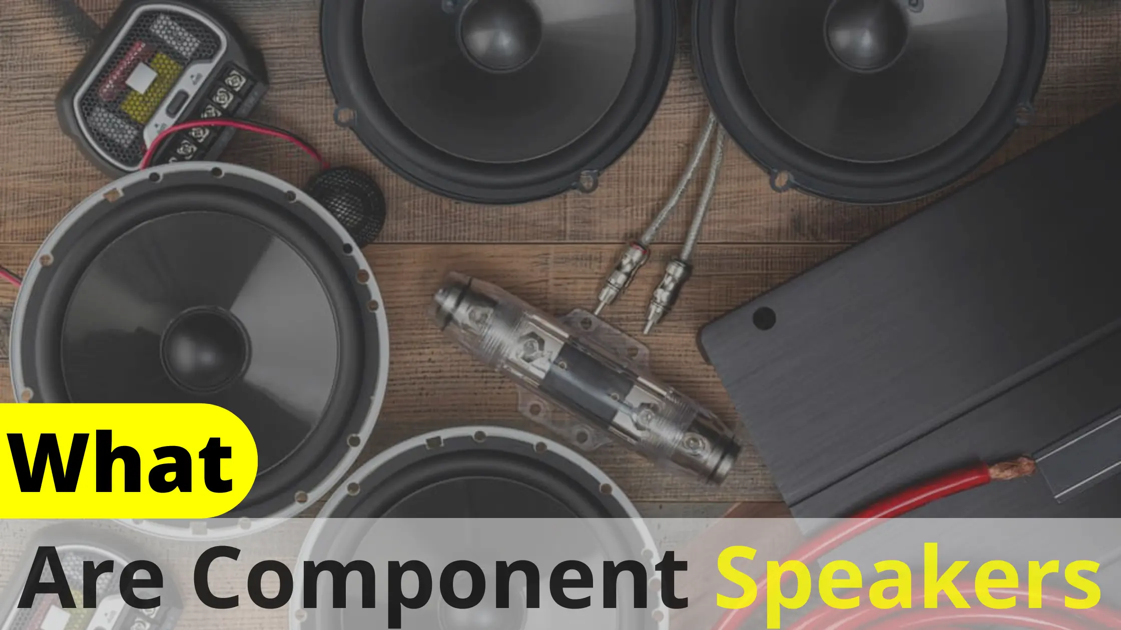 What is a Component Speaker? All About Speakers